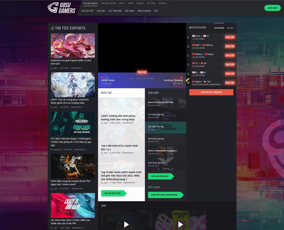 The Vietnamese website